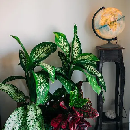 ベッド・アンド・ブレックファスト Juniper Bay ポルトスクーゾ