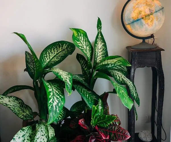 Bed & Breakfast Juniper Bay Portoscuso