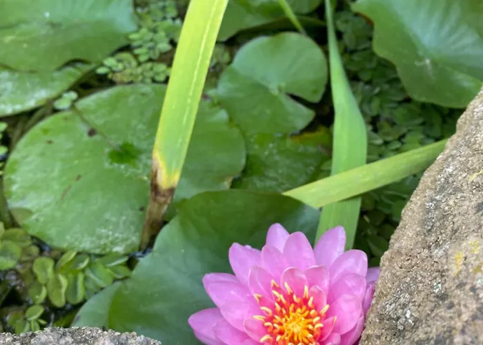 Bed & Breakfast Juniper Bay Portoscuso