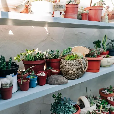 Juniper Bay Bed & Breakfast Portoscuso