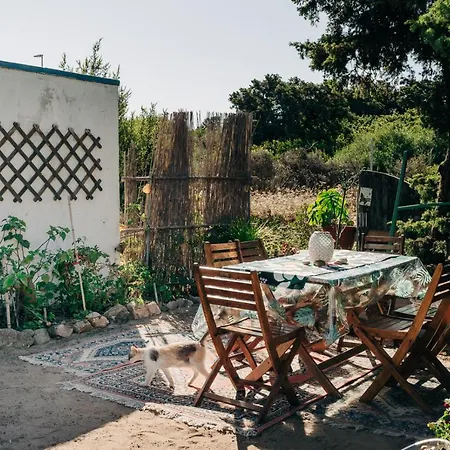 Juniper Bay לינה וארוחת בוקר