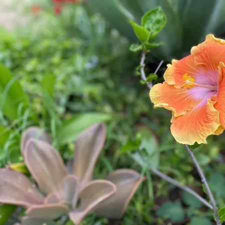 Juniper Bay B&B 포르토스쿠소