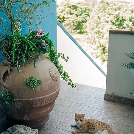 Juniper Bay فندق مبيت وإفطار